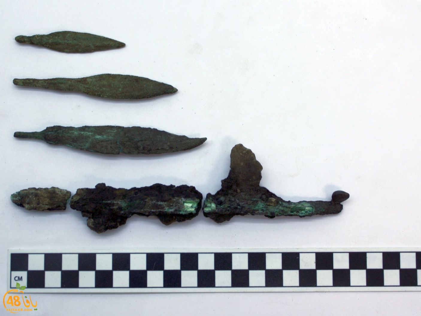 yaffa searchereqja (2).jpg